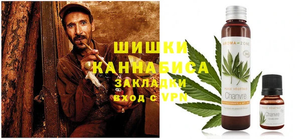 ПСИЛОЦИБИНОВЫЕ ГРИБЫ Алзамай